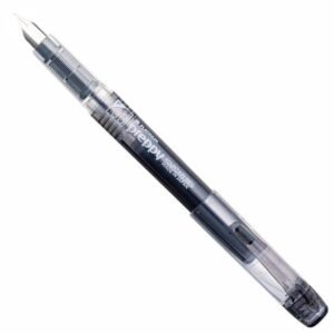 Platinum preppy fountain pen, version 1.0.0, featured in affordable writing options