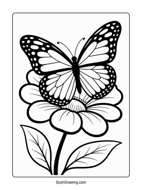 Black and white line drawing of a butterfly perched on a flower