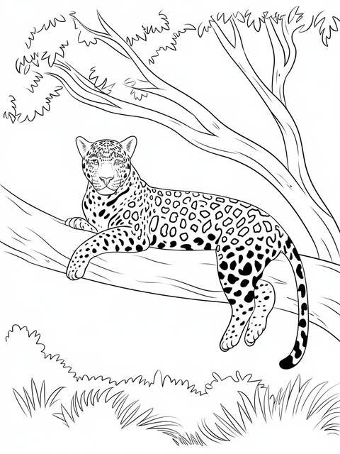 Line drawing of a jaguar lounging on a tree branch, ready to color