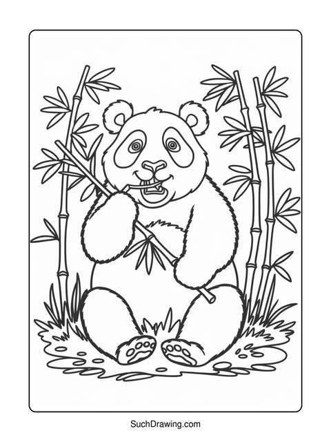 A panda bear eating bamboo in a coloring page style illustration
