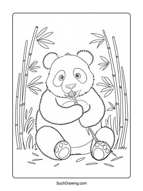 Line drawing of a panda bear eating bamboo, surrounded by bamboo stalks